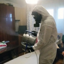 Дезинфекция от клопов в Льгове