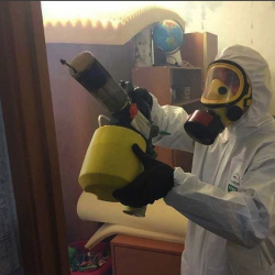 Уничтожение клопов в квартире. Льгов